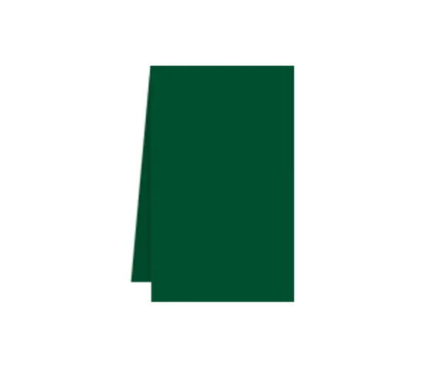 Tovaglie Airlaid " Verde Foresta " 100x100cm